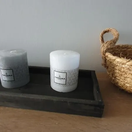 Apartment L'appart'mans -charmant-studio-centre Ville-2 Pers Le Mans